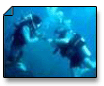 Diving In Hikkaduwa