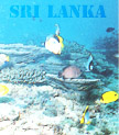 More About underwater Wonderland, Sri Lanka