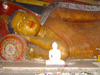 Click to Large Size Image