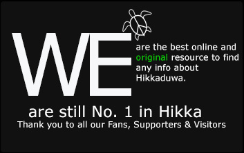 We are the Best in Hikkaduwa