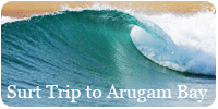 Surf Trip to Arugam Bay