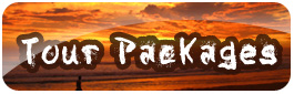 Tour Packages - Tour Around Sri Lanka with us
