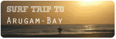 Surf Trip to Arugambay - Sri Lanka